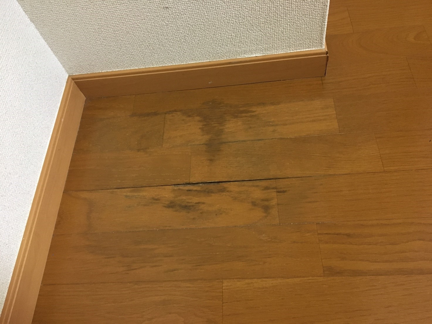 シミは補修での対応が難しいため非推奨